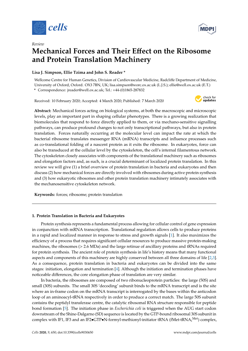 Mechanical Forces and Their Effect on the Ribosome and Protein