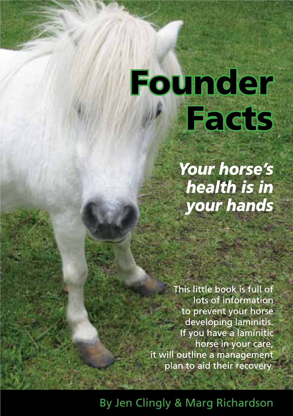 Founder Facts