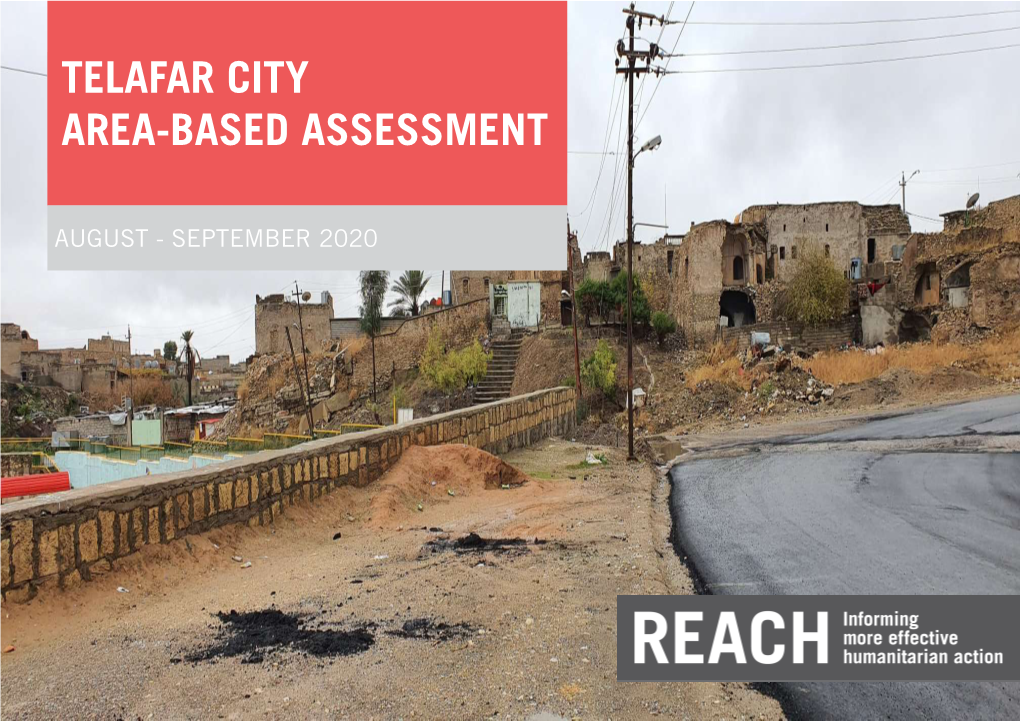 Mosul Al Area Based Assessment Telafar City