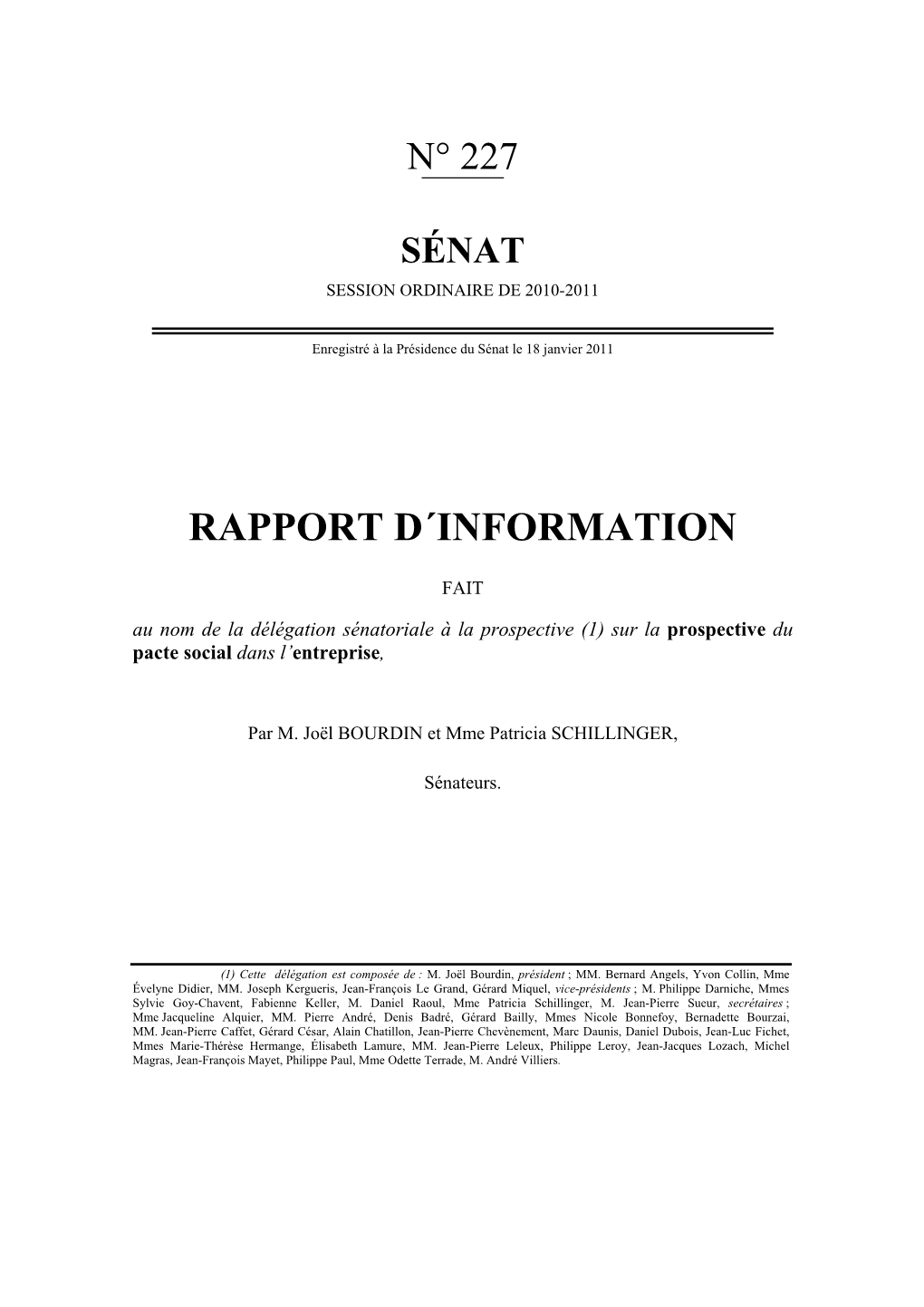 Rapport D´Information