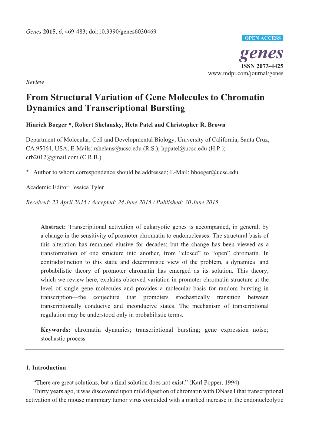 From Structural Variation of Gene Molecules to Chromatin Dynamics and Transcriptional Bursting