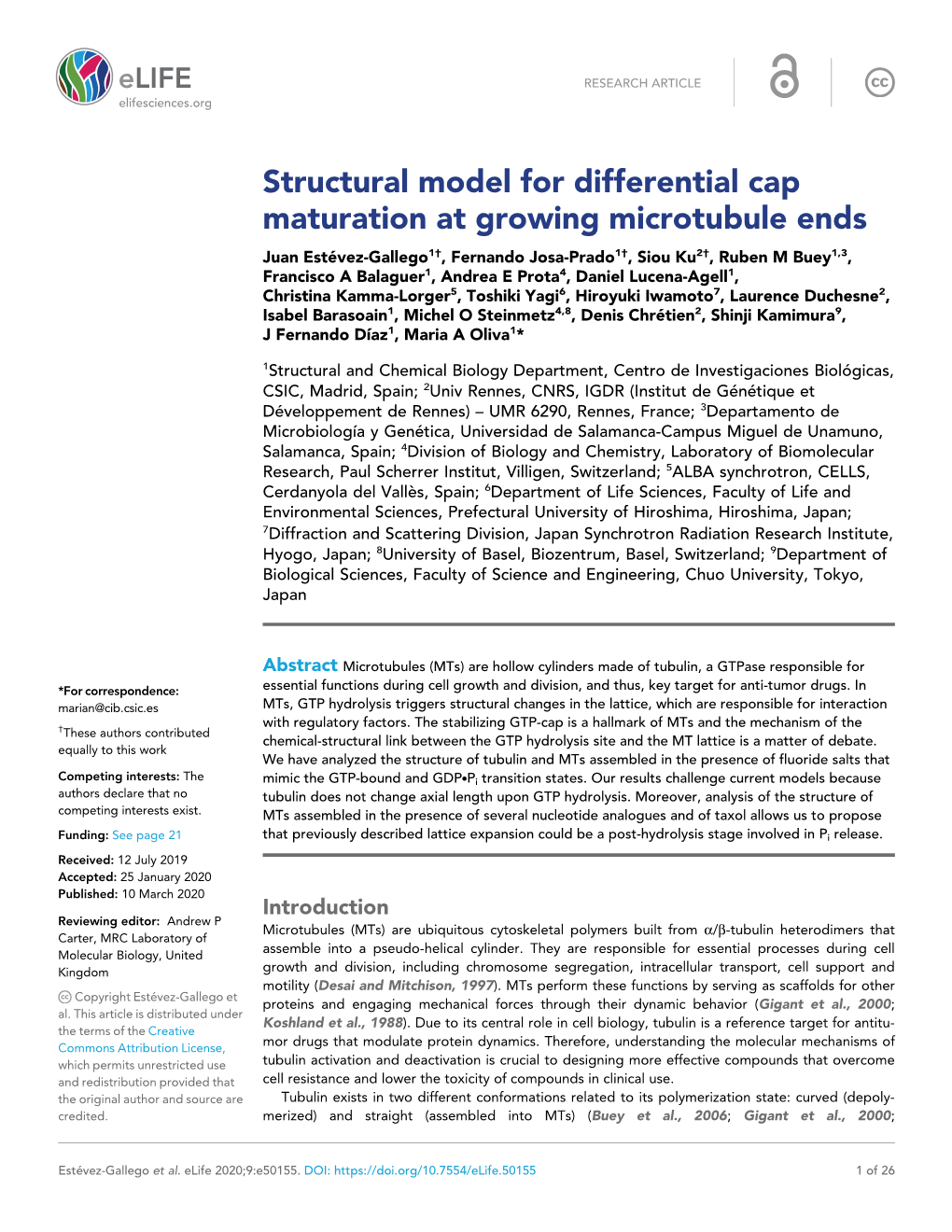 Structural Model for Differential Cap Maturation at Growing Microtubule