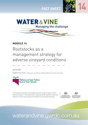 Rootstocks As a Management Strategy for Adverse Vineyard Conditions