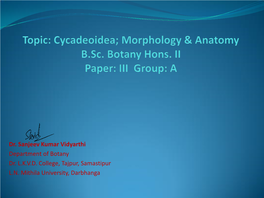 Topic: Cycadeoidea; Morphology & Anatomy B.Sc. Botany Hons. II