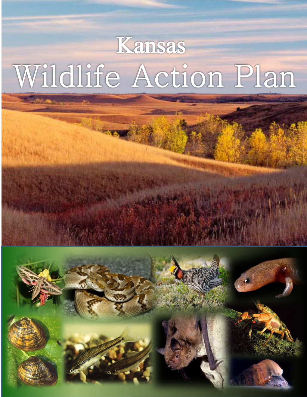 Kansas Wildlife Action Plan