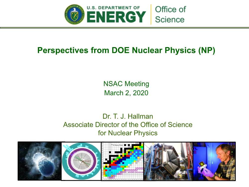 Perspectives from DOE Nuclear Physics (NP)