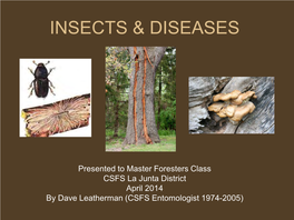 Insects & Diseases