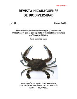 Revista Nicaragüense De Biodiversidad