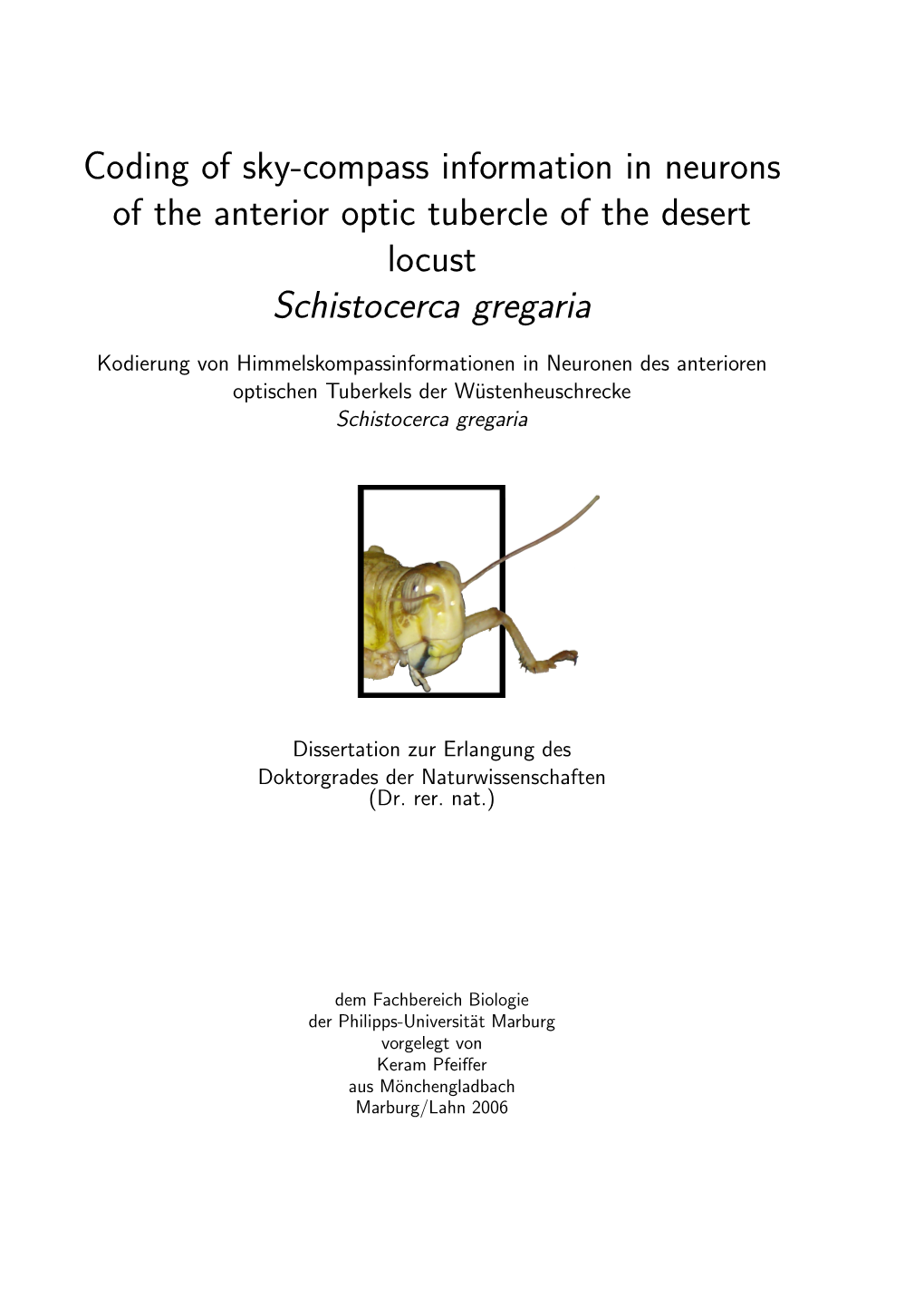 Coding of Sky-Compass Information in Neurons of the Anterior Optic Tubercle of the Desert Locust Schistocerca Gregaria