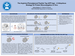 (APP-Tag) – a Ubiquitous Strategy for Protein Bioconjugation in Vivo Olivia Steiner, Dr
