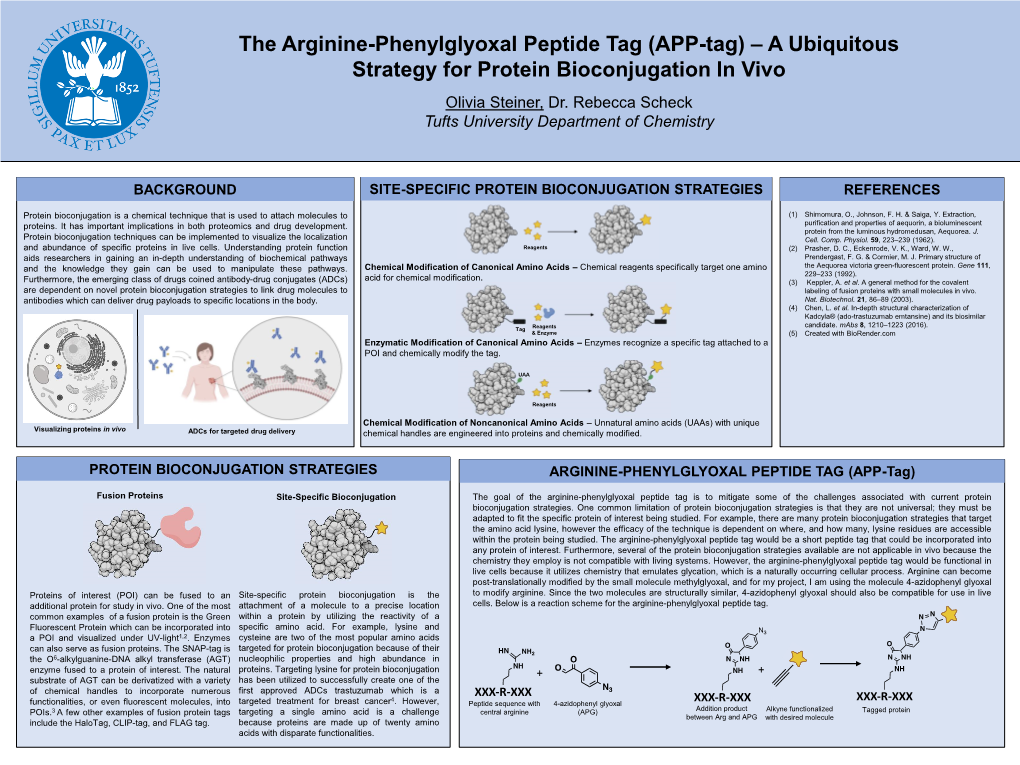 (APP-Tag) – A Ubiquitous Strategy For Protein Bioconjugation In Vivo ...