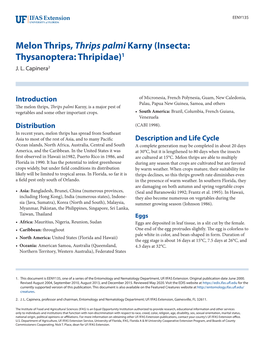 Melon Thrips, Thrips Palmi Karny (Insecta: Thysanoptera: Thripidae)1 J
