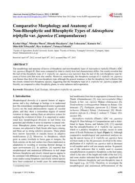 Comparative Morphology and Anatomy of Non-Rheophytic and Rheophytic Types of Adenophora Triphylla Var