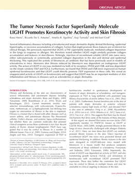 The Tumor Necrosis Factor Superfamily Molecule LIGHT Promotes Keratinocyte Activity and Skin Fibrosis Rana Herro1, Ricardo Da S