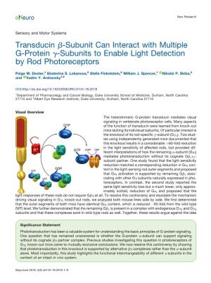 Transducin ␤-Subunit Can Interact with Multiple G-Protein ␥-Subunits to Enable Light Detection by Rod Photoreceptors