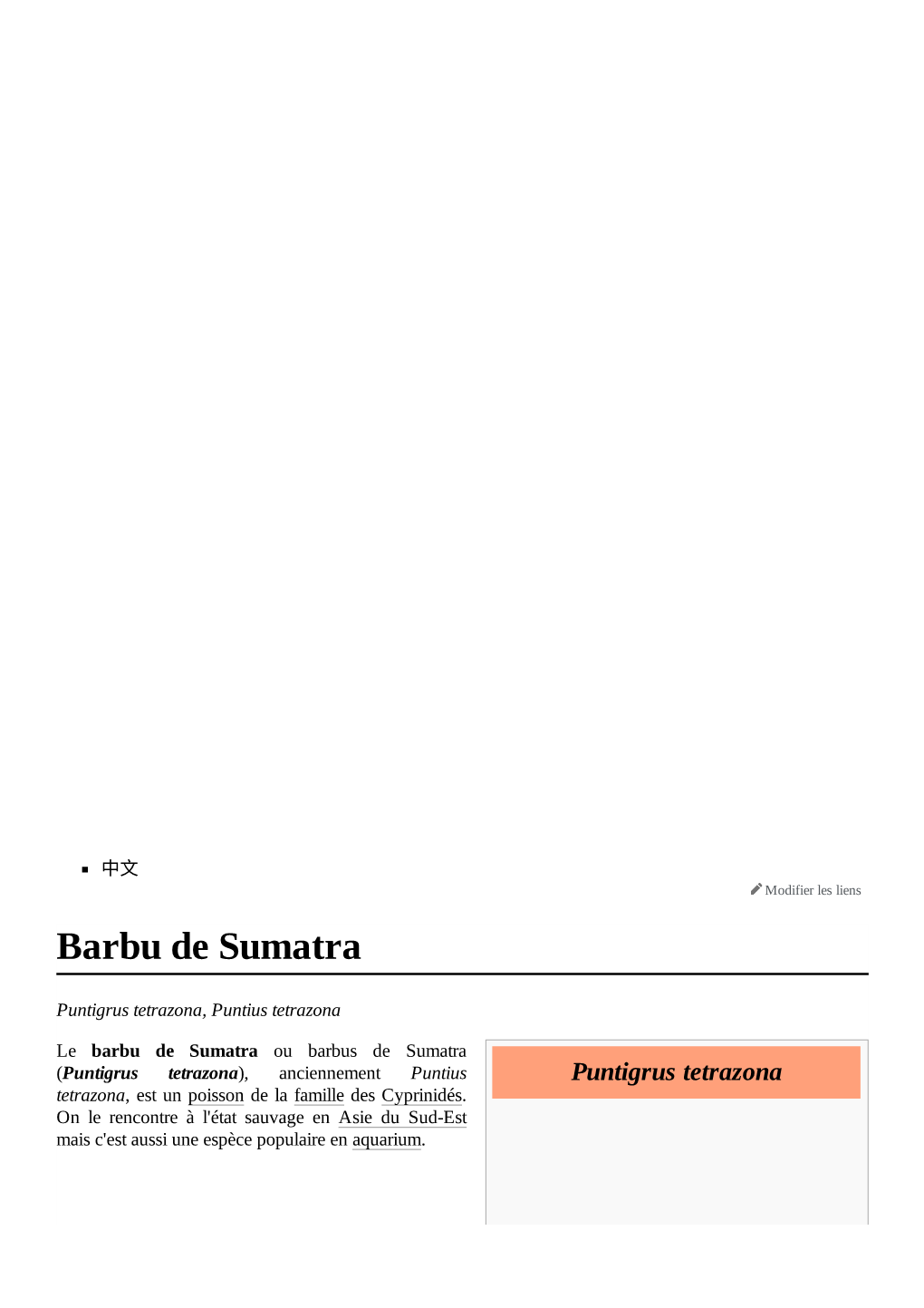 Barbu De Sumatra