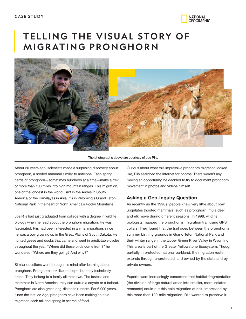 Telling the Visual Story of Migrating Pronghorn