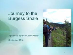 Burgess-Shale-Journey