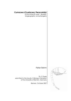 Cumacea (Crustacea; Peracarida) of the Antarctic Shelf – Diversity, Biogeography, and Phylogeny