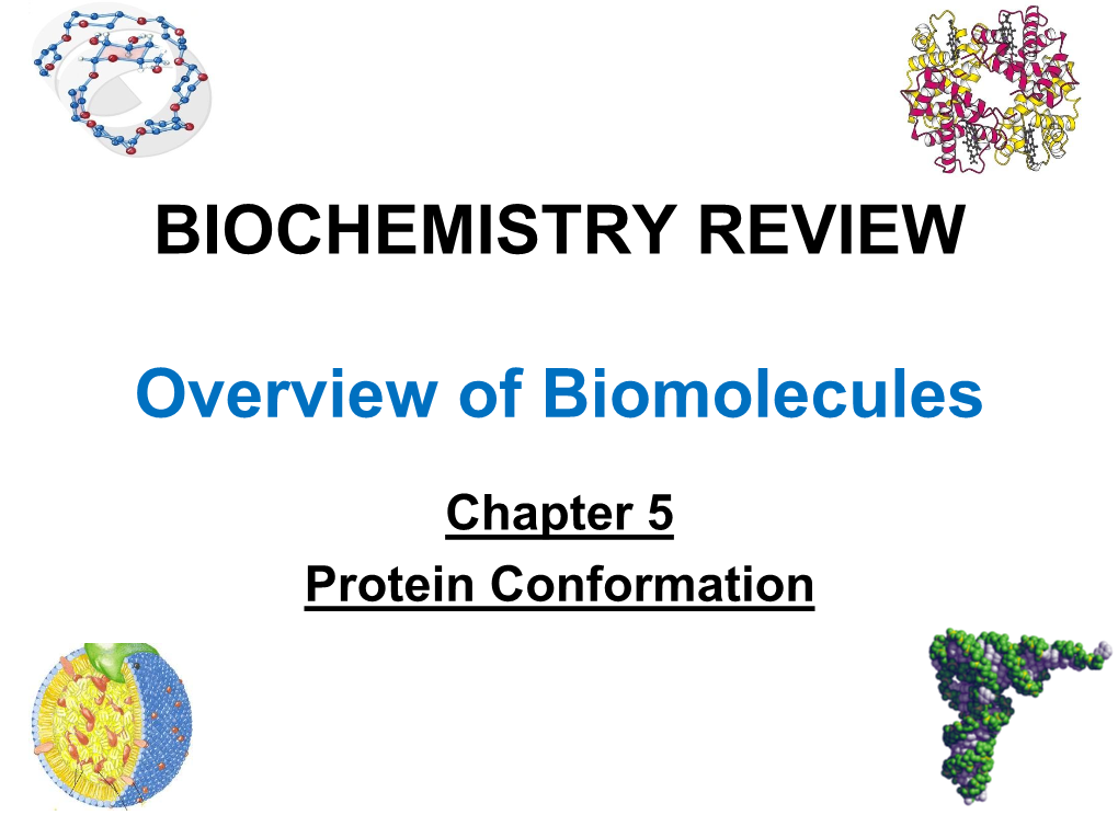 BIOCHEMISTRY REVIEW Overview of Biomolecules