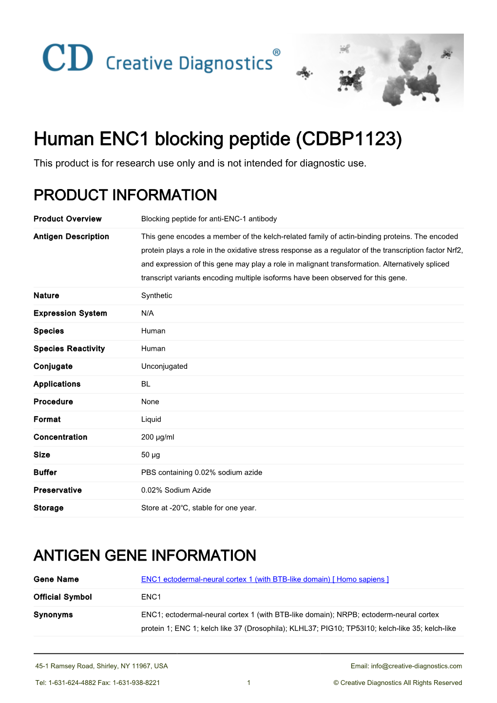 Human ENC1 Blocking Peptide (CDBP1123) This Product Is for Research Use Only and Is Not Intended for Diagnostic Use