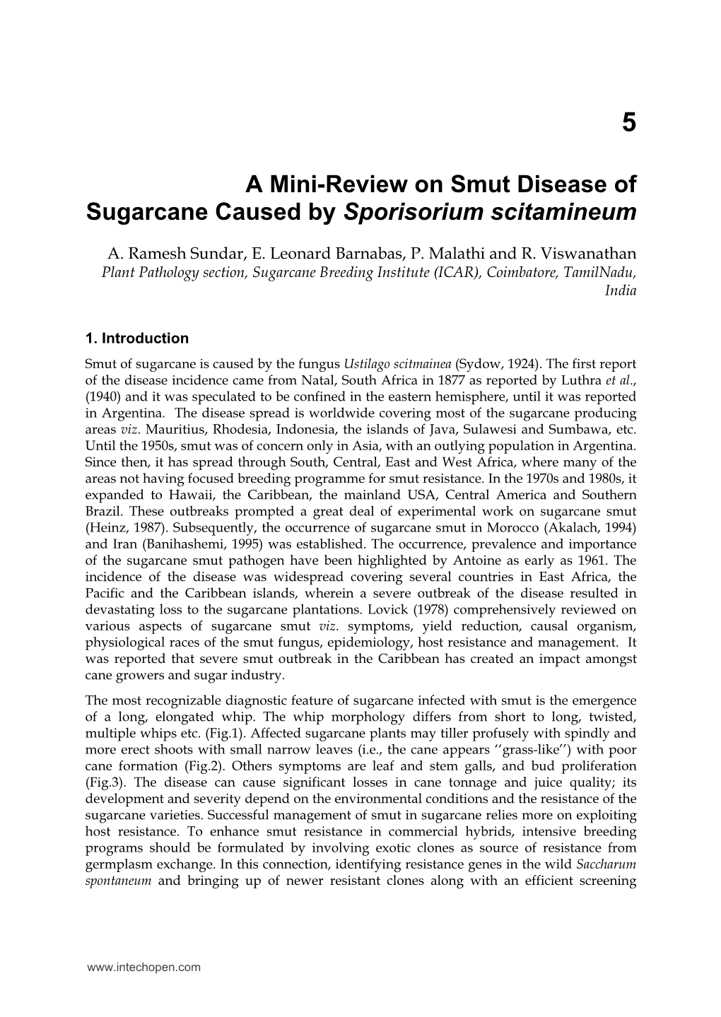 A Mini-Review on Smut Disease of Sugarcane Caused by Sporisorium Scitamineum