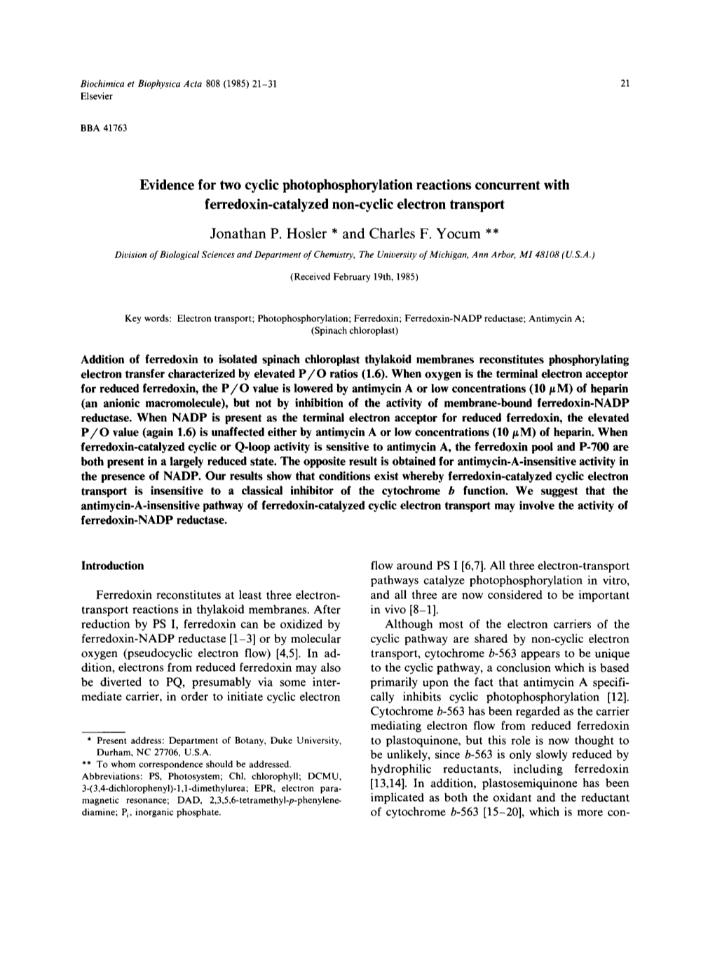 Evidence for Two Cyclic Photophosphorylation Reactions Concurrent with Ferredoxin-Catalyzed Non-Cyclic Electron Transport