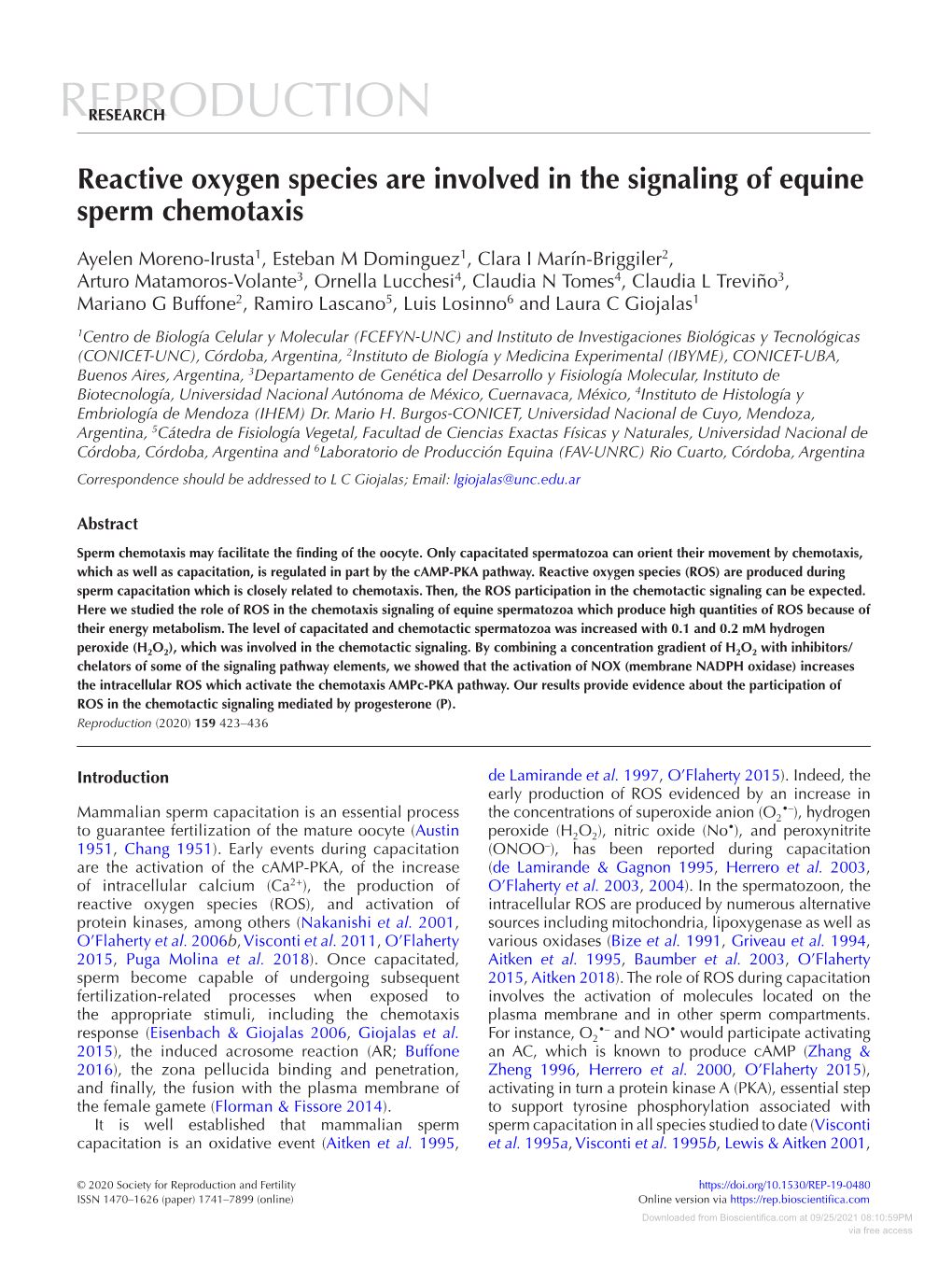 Reactive Oxygen Species Are Involved in the Signaling of Equine Sperm Chemotaxis