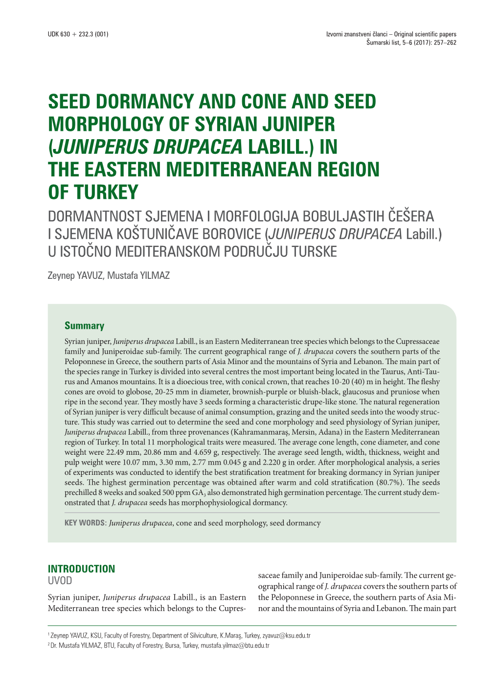 (JUNIPERUS DRUPACEA LABILL.) in the EASTERN Mediterranean