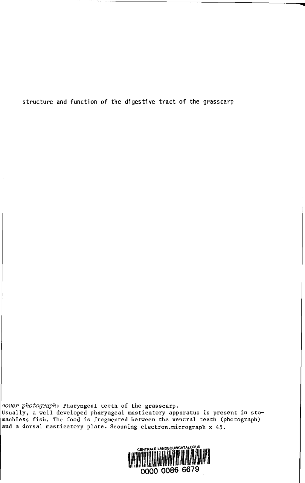 Structure and Function of the Digestive Tract of the Grasscarp