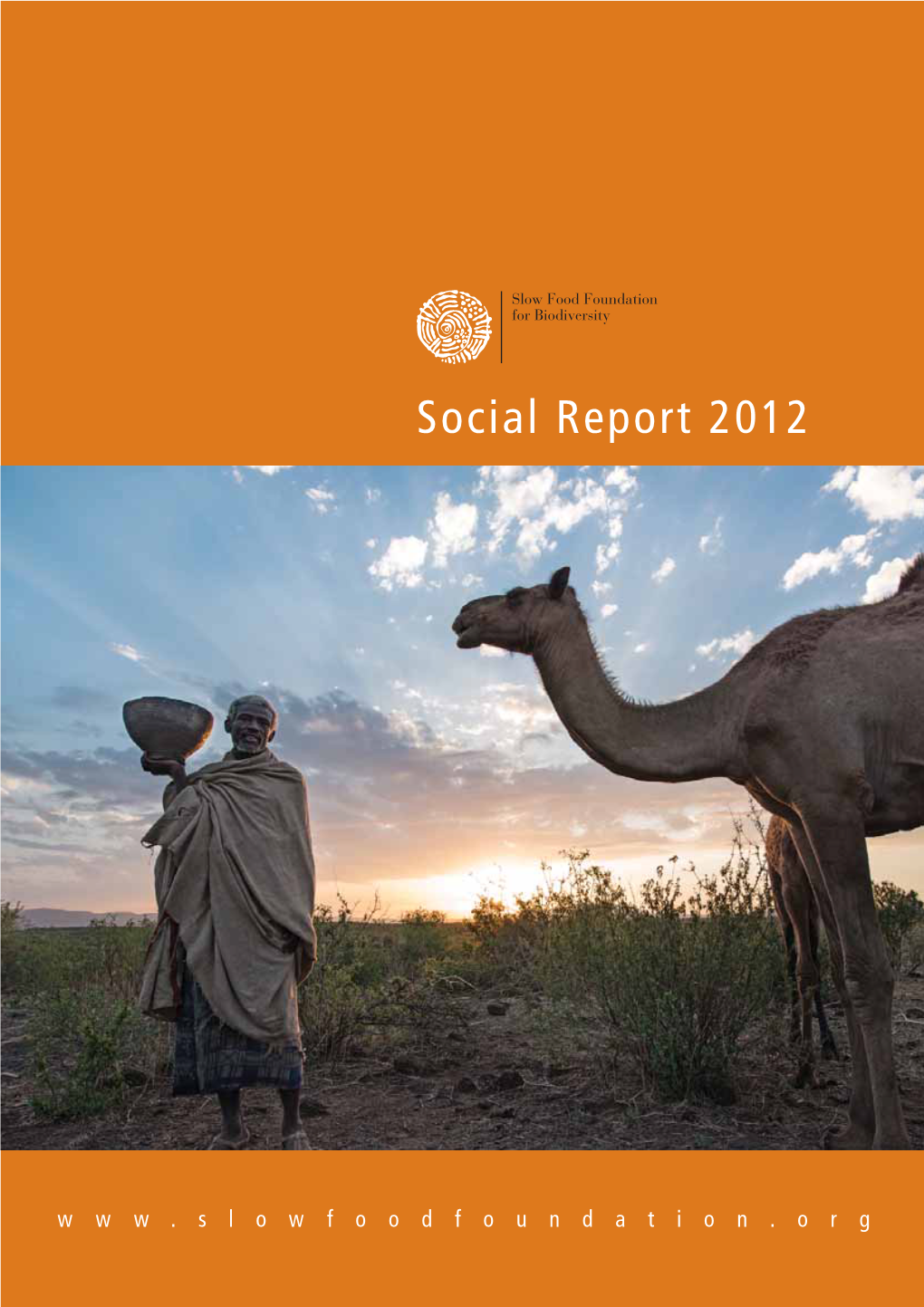Social Report 2012
