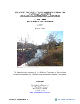 Fulmer Creek Basin Assessment