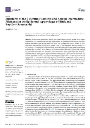 Structures of the ß-Keratin Filaments and Keratin Intermediate Filaments in the Epidermal Appendages of Birds and Reptiles (Sauropsids)