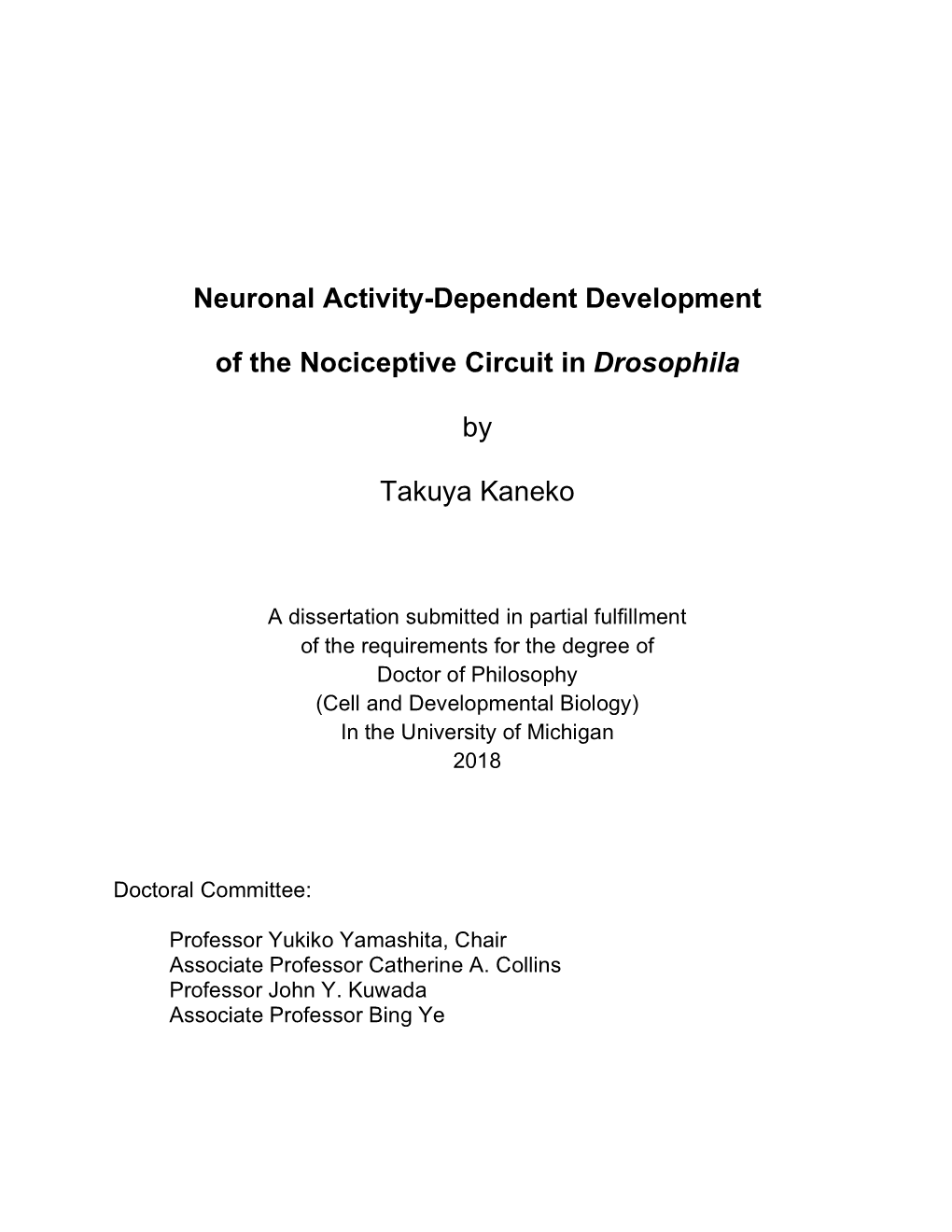 Neuronal Activity-Dependent Development of the Nociceptive