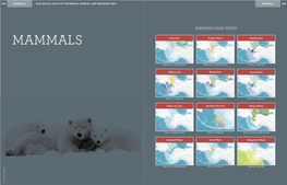 MAMMALS MAP INDEX MAMMALS Polar Bear Pacific Walrus Bearded Seal