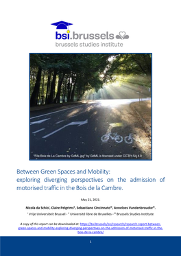 Between Green Spaces and Mobility: Exploring Diverging Perspectives on the Admission of Motorised Traffic in the Bois De La Cambre