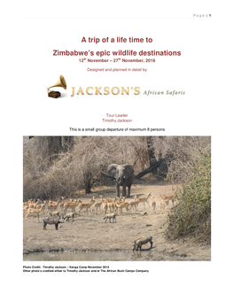 A Trip of a Life Time to Zimbabwe's Epic Wildlife Destinations