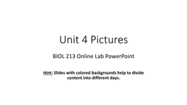 Unit 4 Pictures