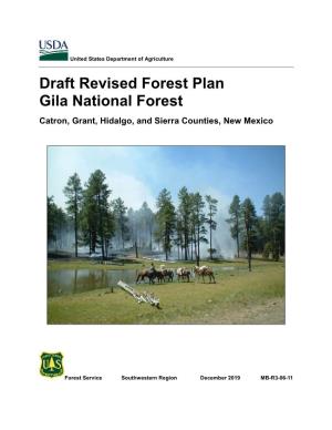 Draft Revised Forest Plan Gila National Forest Catron, Grant, Hidalgo, and Sierra Counties, New Mexico