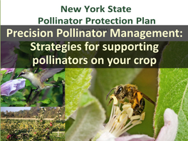 Precision Pollinator Management: Strategies for Supporting Pollinators on Your Crop $240,355,000 $144,207,000 $52,137,000 $31,371,000