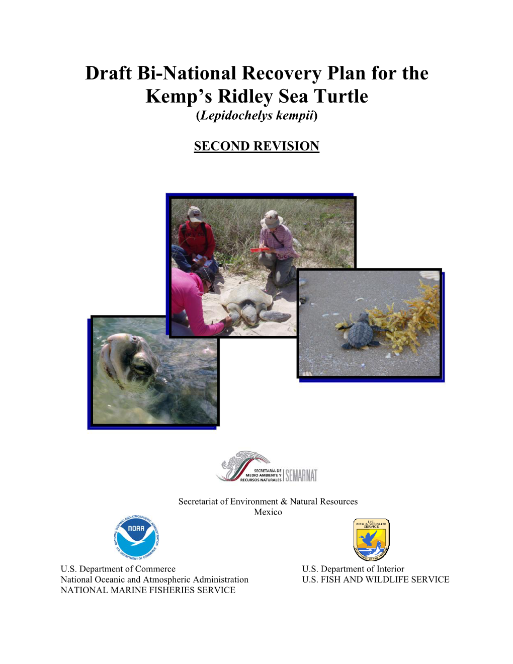 Draft Bi-National Recovery Plan for the Kemp's Ridley Sea Turtle