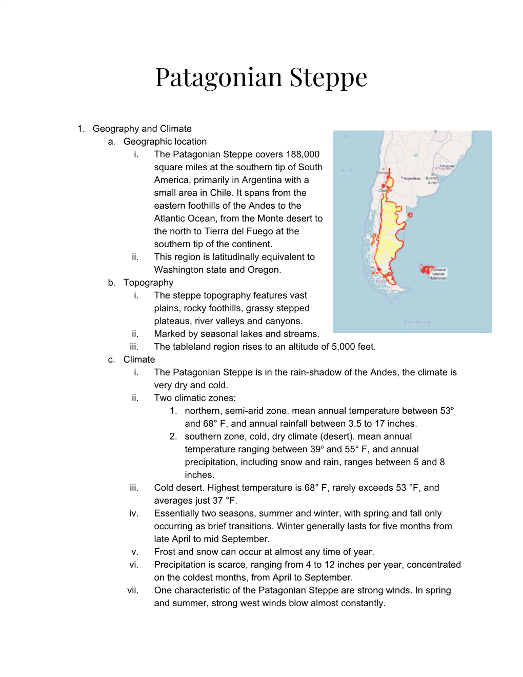 Patagonian Steppe