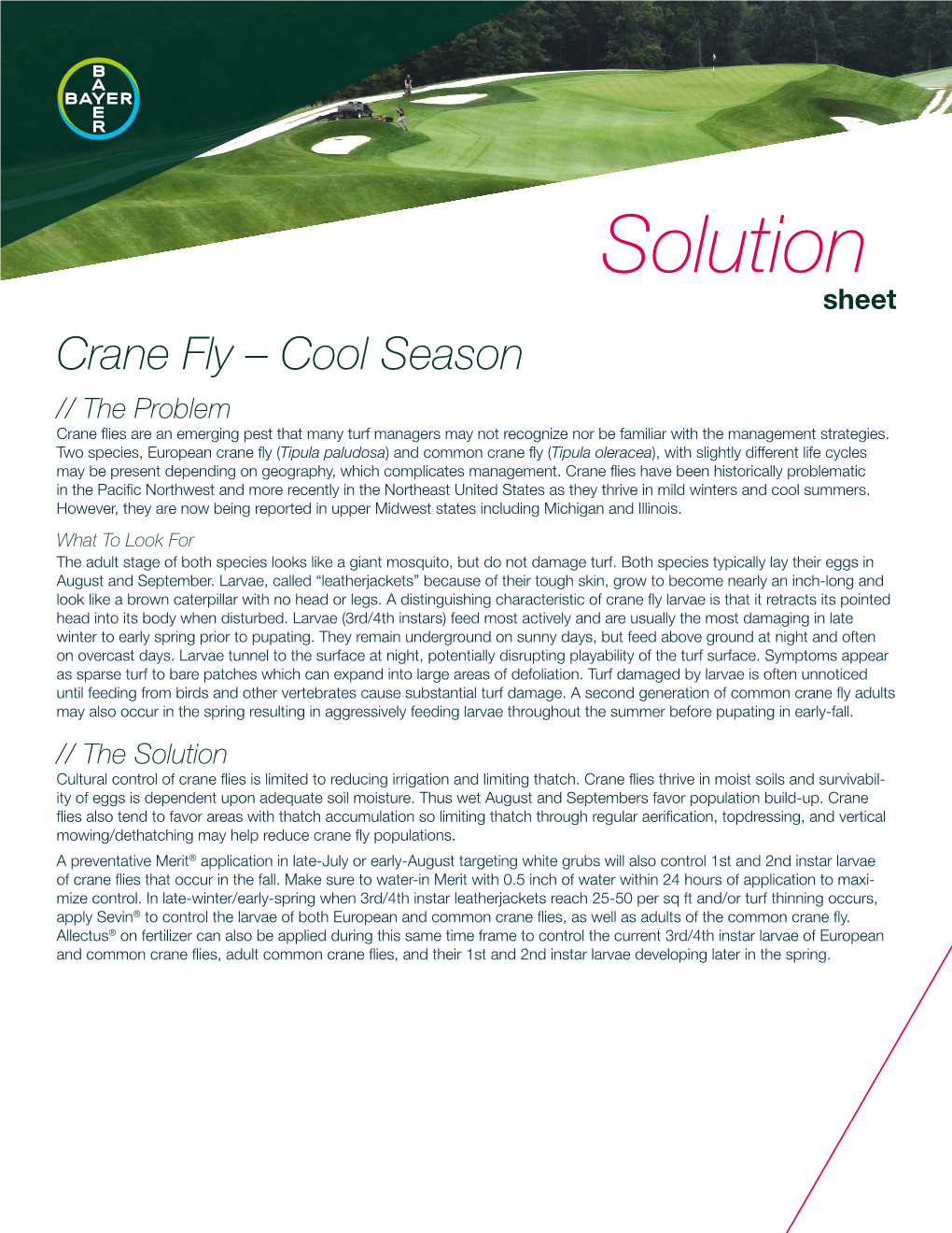 Crane Fly – Cool Season // the Problem Crane Flies Are an Emerging Pest That Many Turf Managers May Not Recognize Nor Be Familiar with the Management Strategies