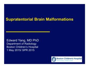 Supratentorial Brain Malformations