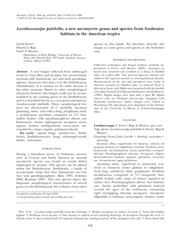 Lucidascocarpa Pulchella, a New Ascomycete Genus and Species from Freshwater Habitats in the American Tropics