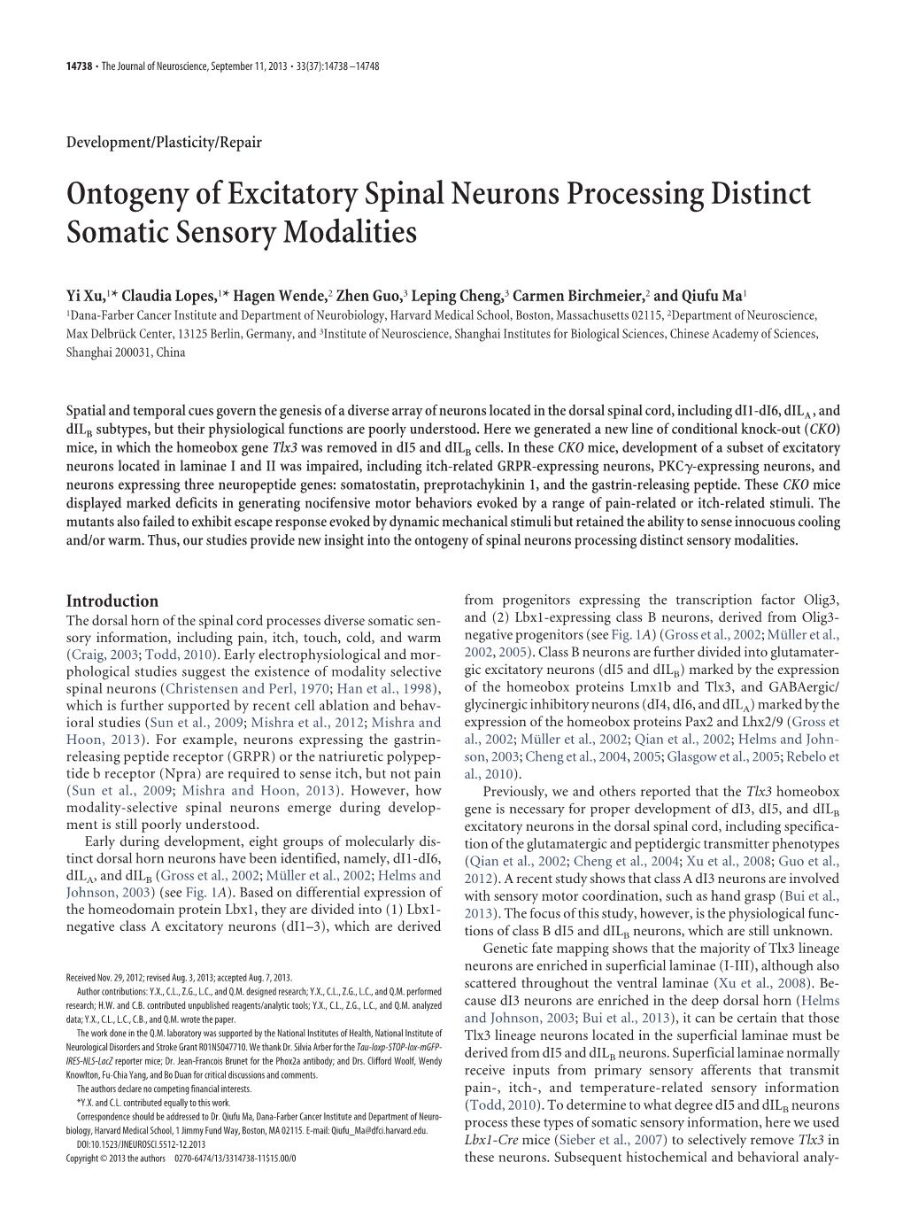 Ontogeny of Excitatory Spinal Neurons Processing Distinct Somatic Sensory Modalities
