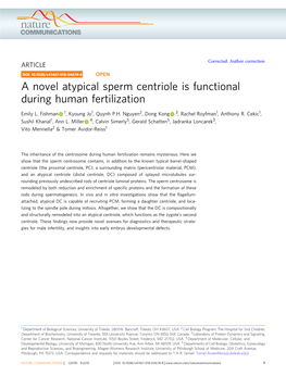 A Novel Atypical Sperm Centriole Is Functional During Human Fertilization