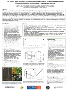 The Effects of Fire Frequency on the Reproductive Success of Buzz-Pollinated Blueberry (Vaccinium Pallidum) and Huckleberry (Gaylussacia Baccata) Kaitlyn E