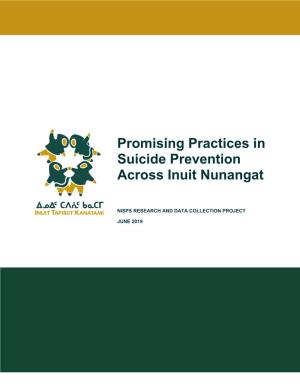 Promising Practices in Suicide Prevention Across Inuit Nunangat