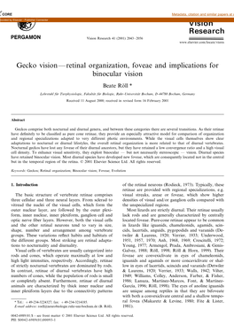 Gecko Vision—Retinal Organization, Foveae and Implications for Binocular Vision